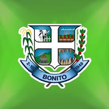 Bonito MS Logo